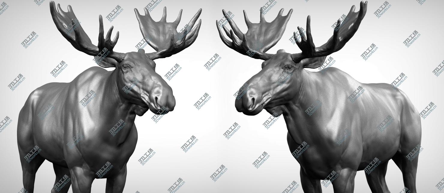 images/goods_img/202104092/3D Moose model/2.jpg